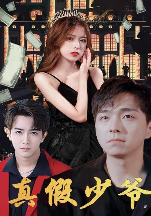 真假少爷封面图