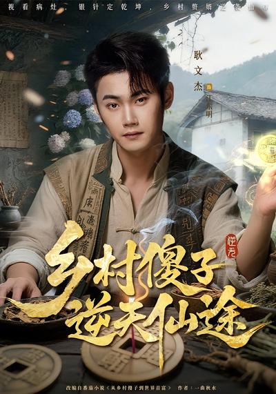 乡村傻子逆天仙途封面图