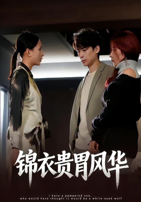 锦衣贵胄风华
