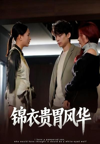 锦衣贵胄风华封面图