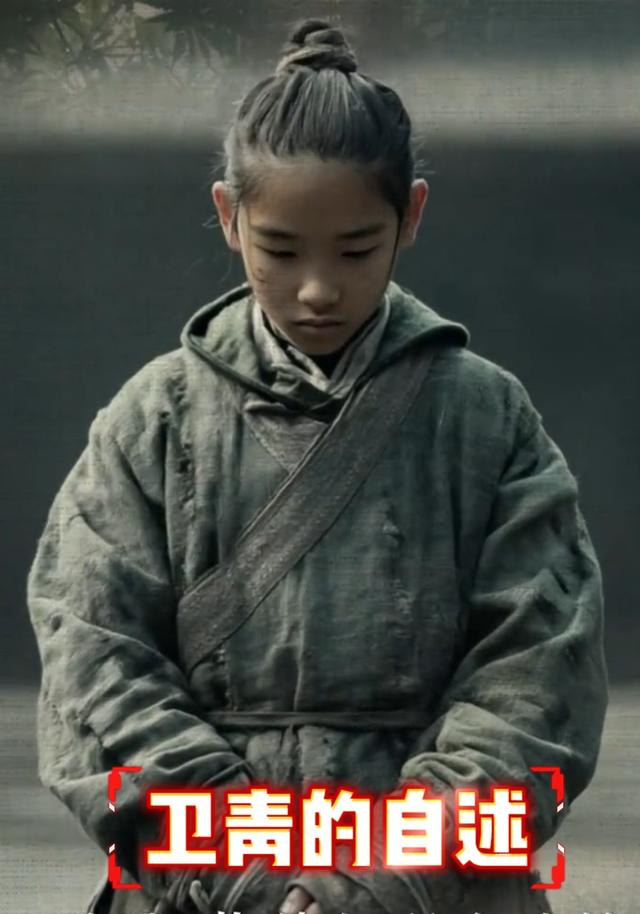 卫青的自述封面图