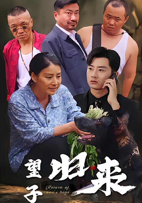 望子归来