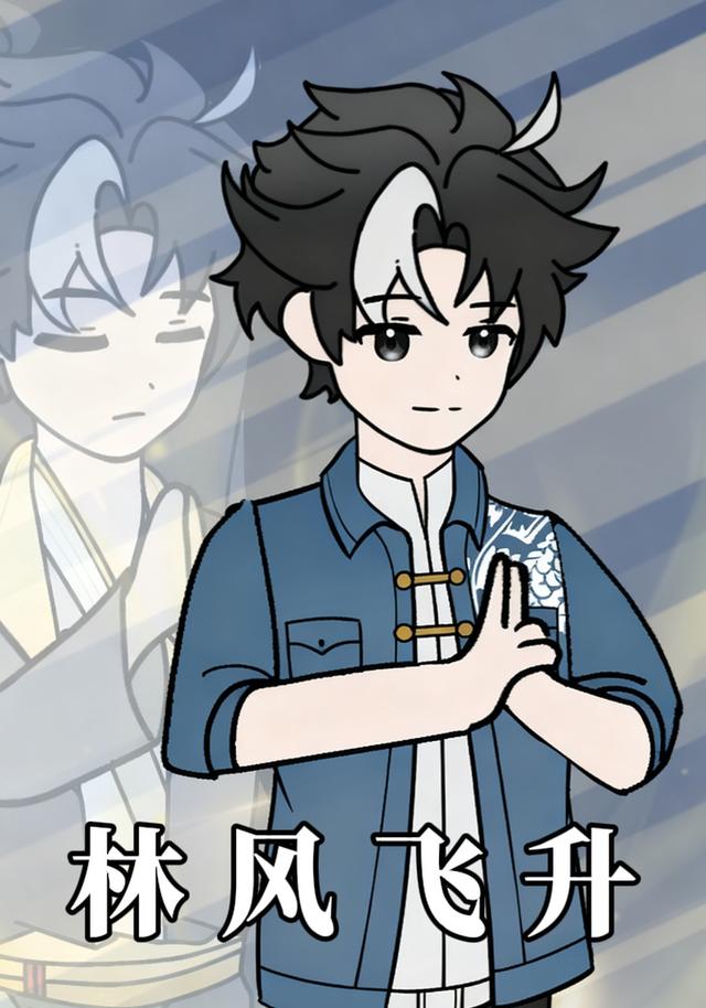 林风飞升封面图