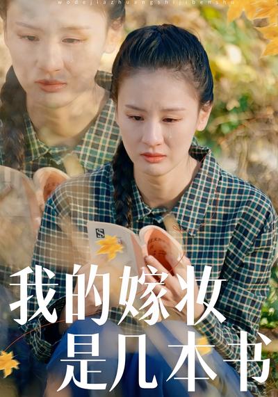 我的嫁妆是几本书封面图