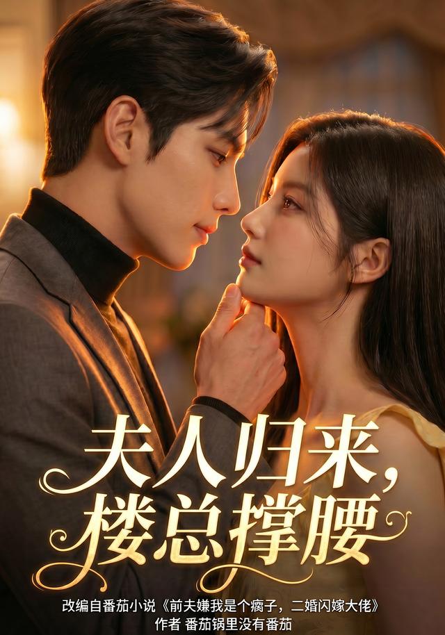 夫人归来，楼总撑腰 cover