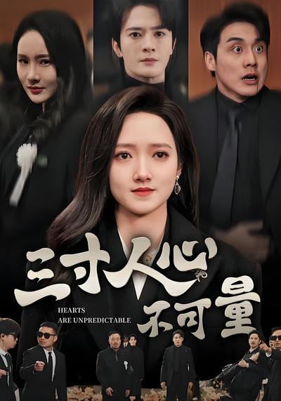 三寸人心不可量封面图