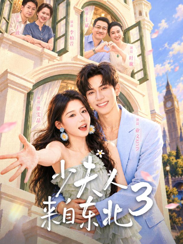 少夫人来自东北3 海报