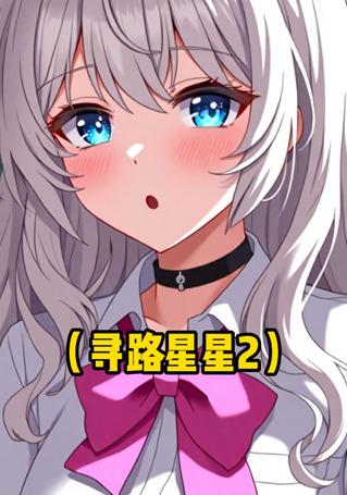 寻路星星2封面图