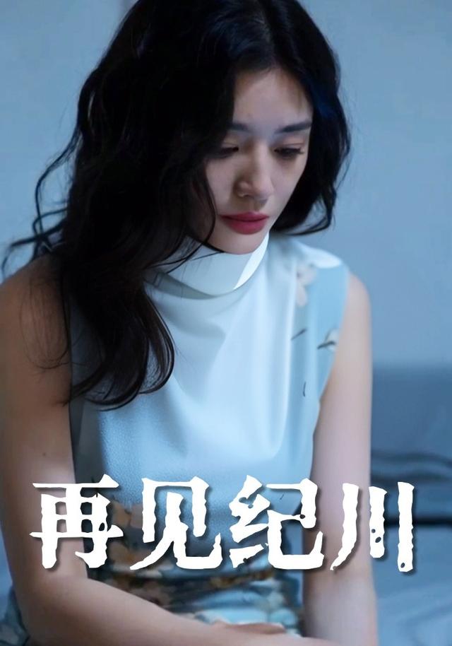 再见纪川封面图