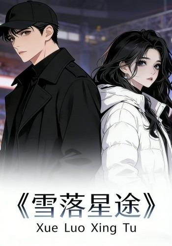 雪落星途封面图