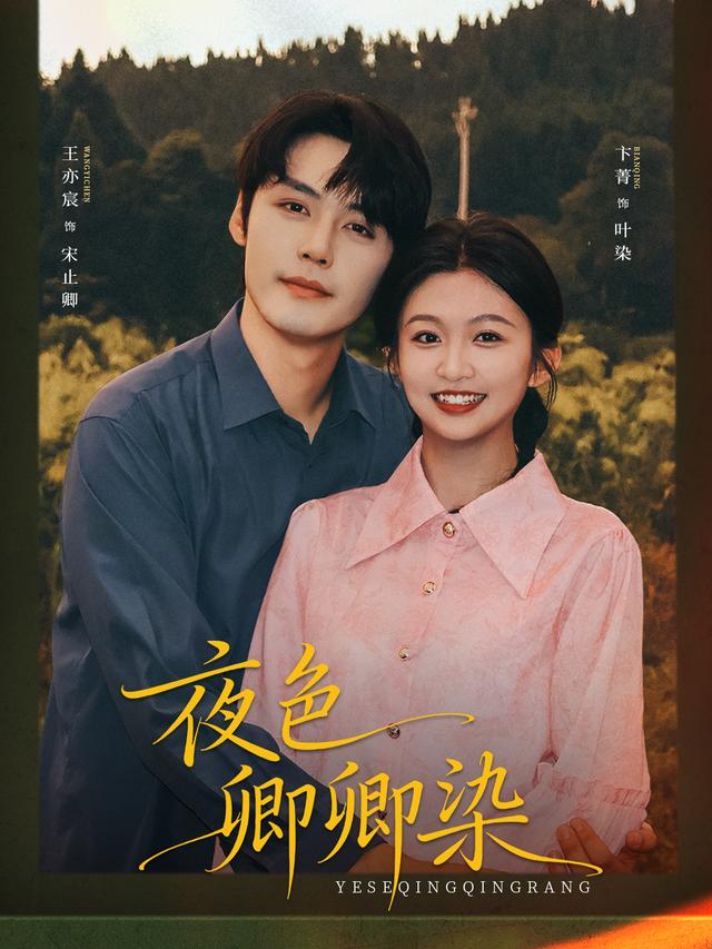 夜色卿卿染封面图