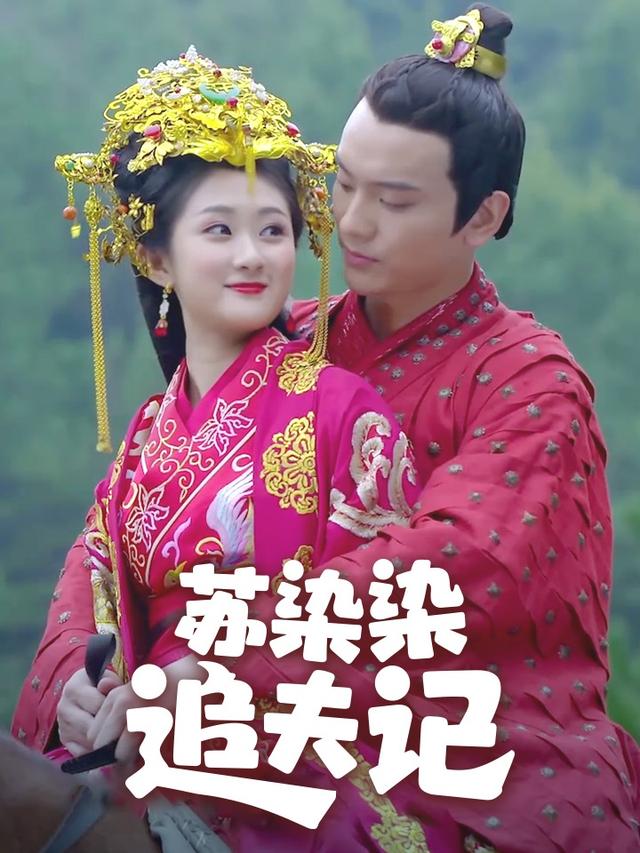 苏染染追夫记