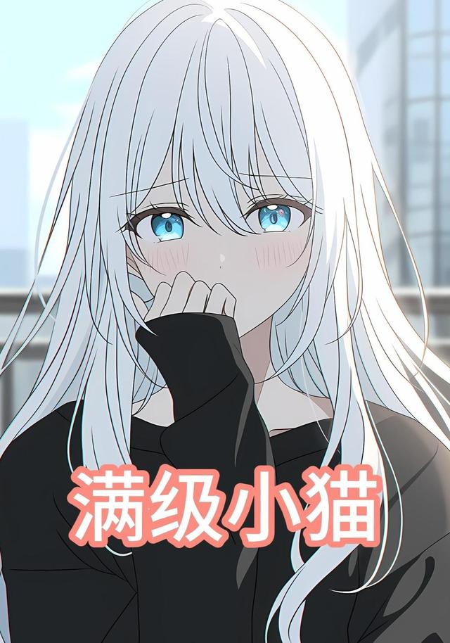 满级小猫封面图