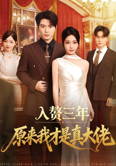 入赘三年，原来我才是真大佬