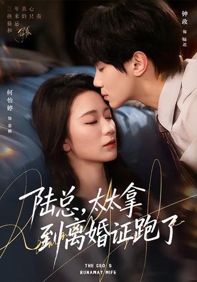 陆总太太拿到离婚证跑了