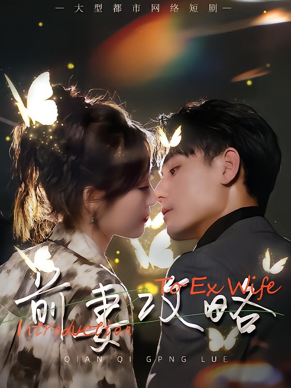 前妻攻略