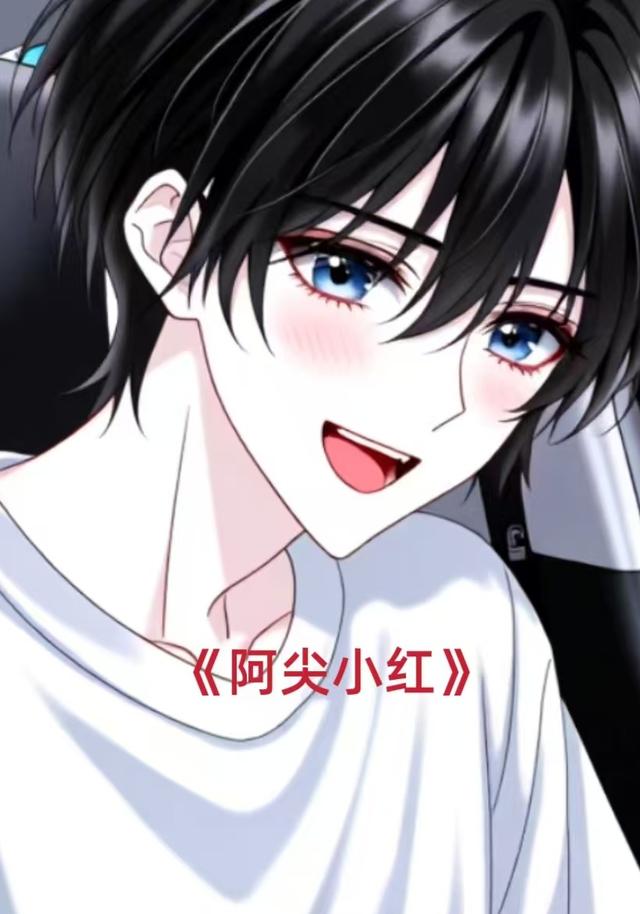 阿尖小红封面图