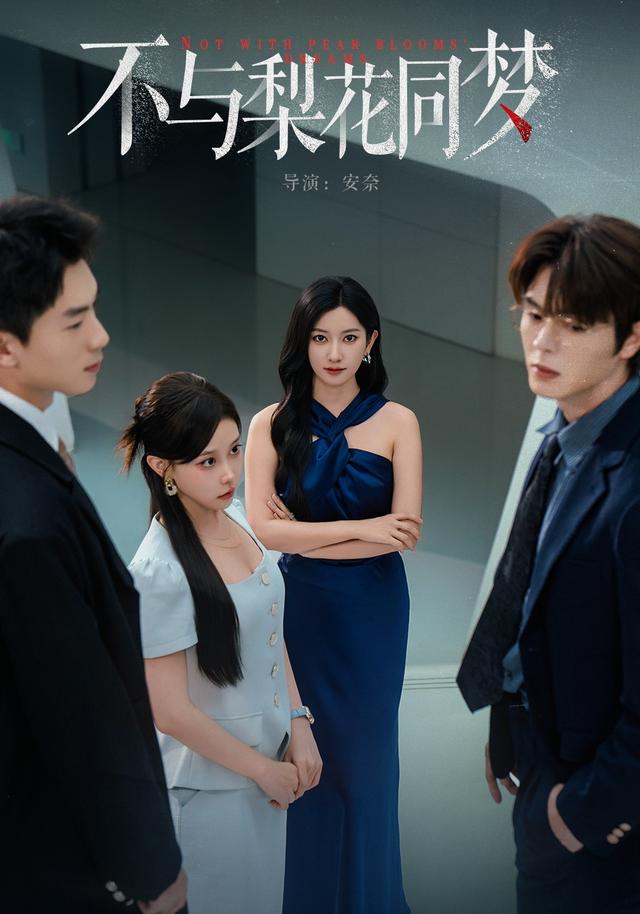 不与梨花同梦封面图