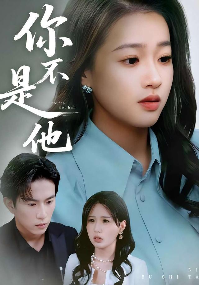 你不是他封面图