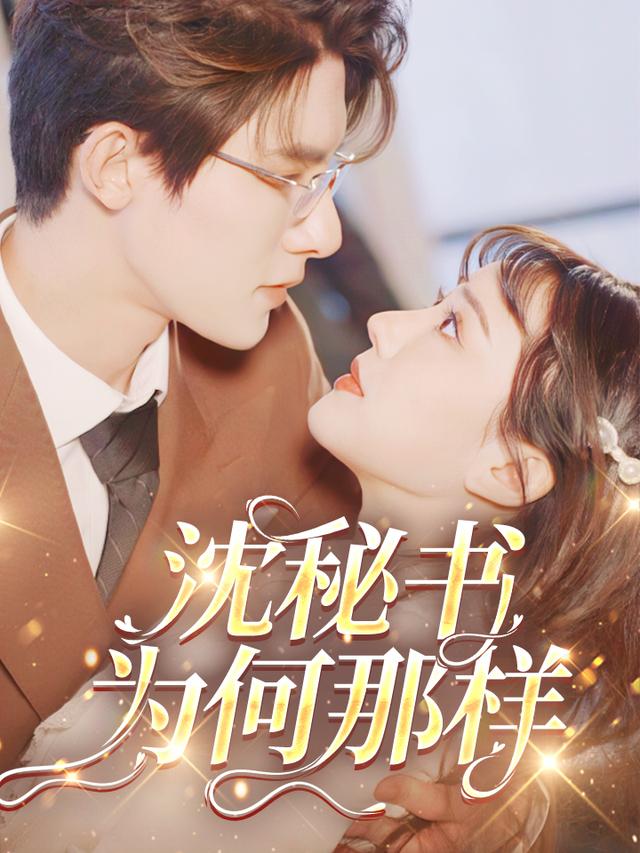 沈秘书为何那样封面图