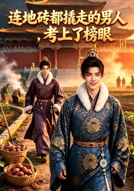 连地砖都撬走的男人，考上了榜眼 cover