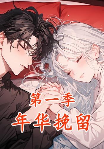 年华挽留第一季