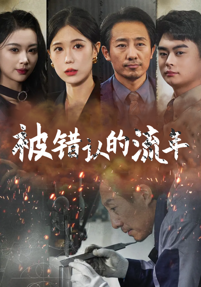 被错认的流年封面图