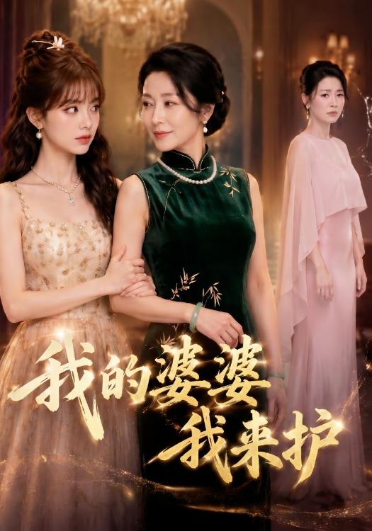 我的婆婆我来护