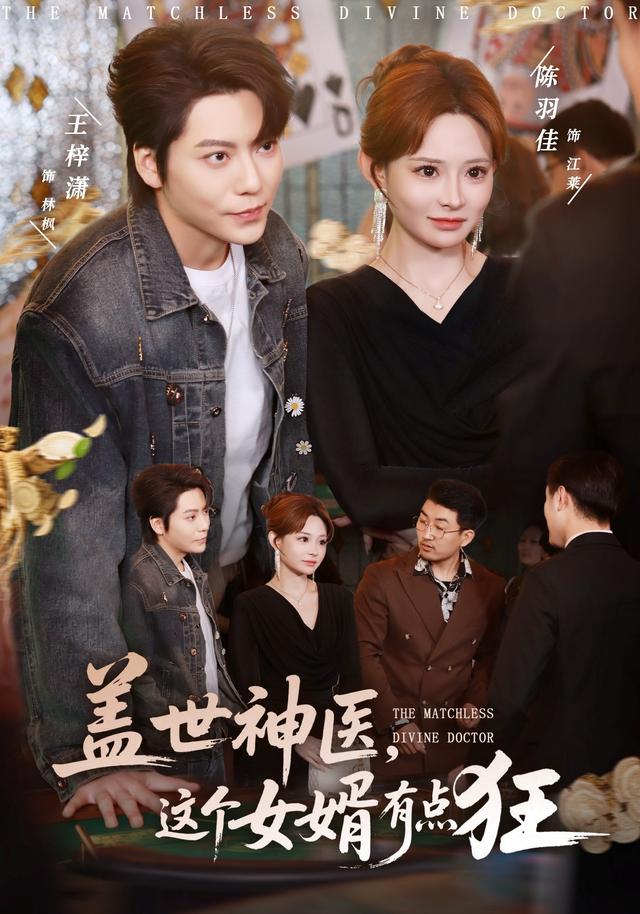 盖世神医，这个女婿有点狂封面图