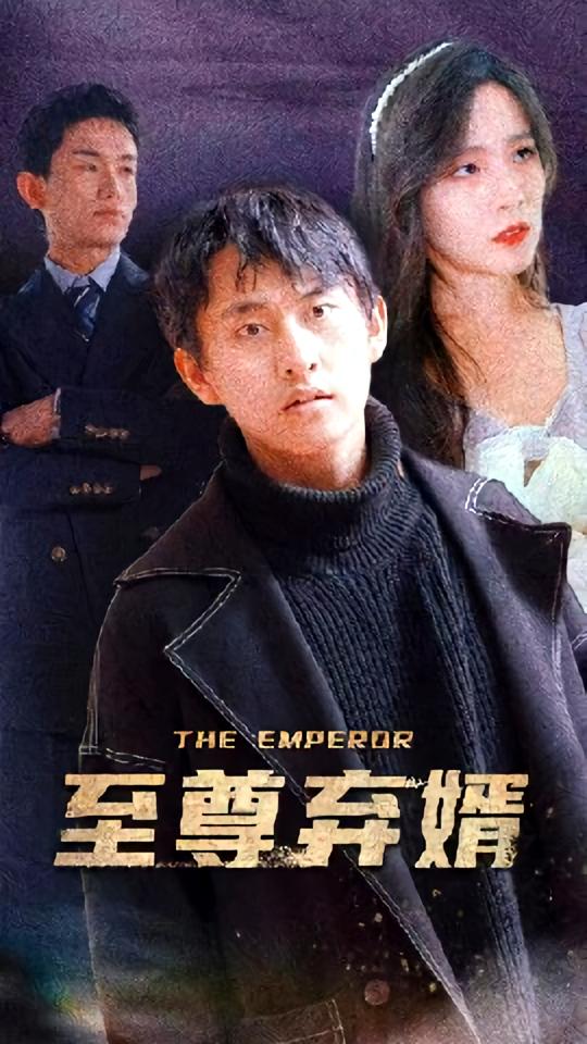 至尊弃婿