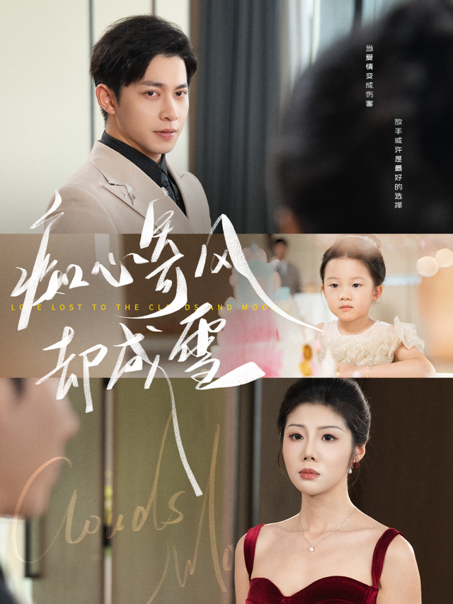 痴心寄风却成雪封面图