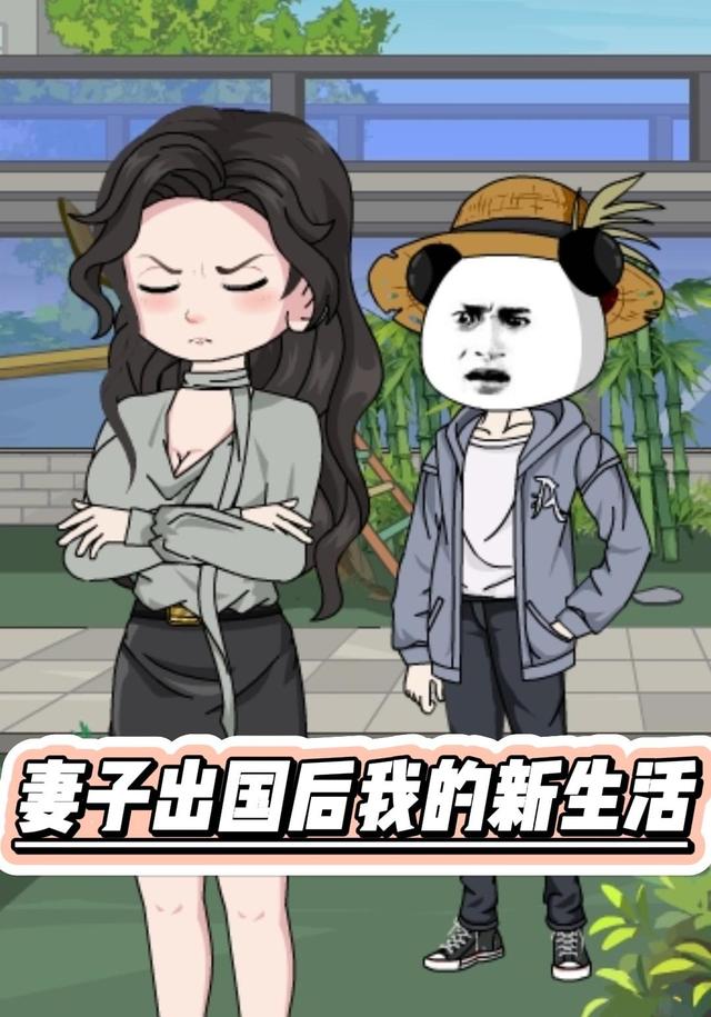 妻子出国后我的新生活封面图