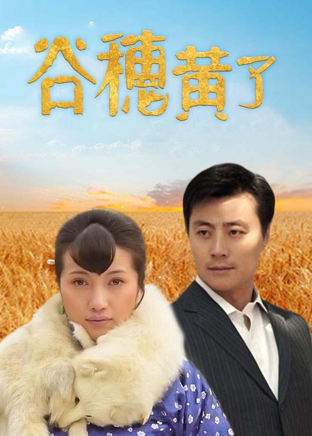 谷穗黄了封面图