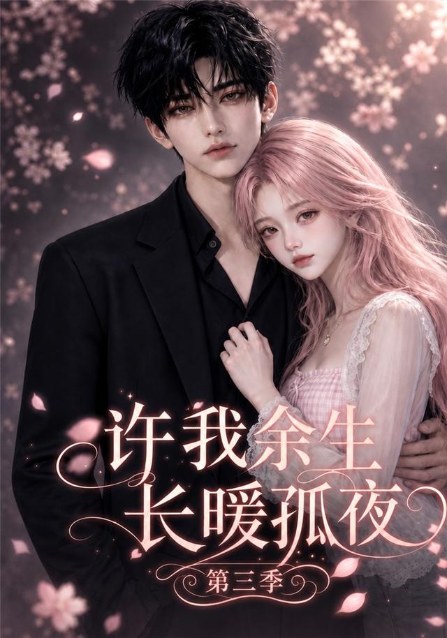 许我余生长暖孤夜第三季