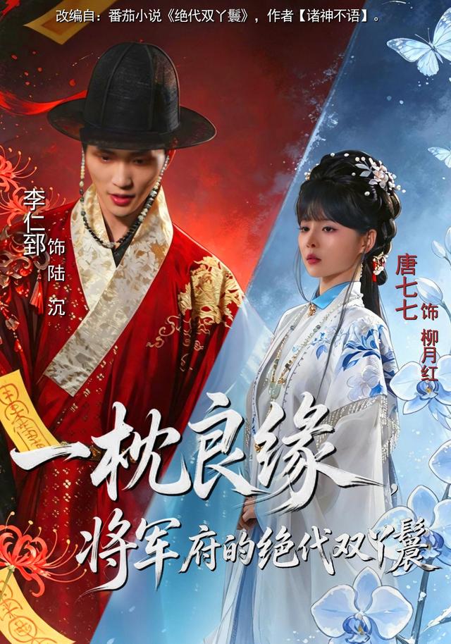 一枕良缘，将军府的绝代双丫鬟