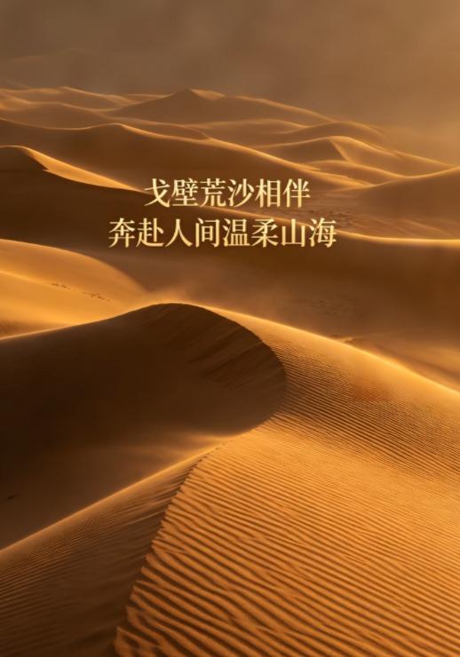 戈壁荒沙相伴奔赴人间温柔山海