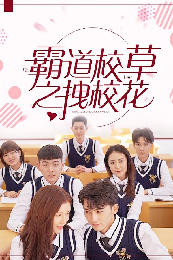 霸道校草拽校花