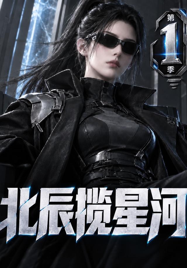 北辰揽星河