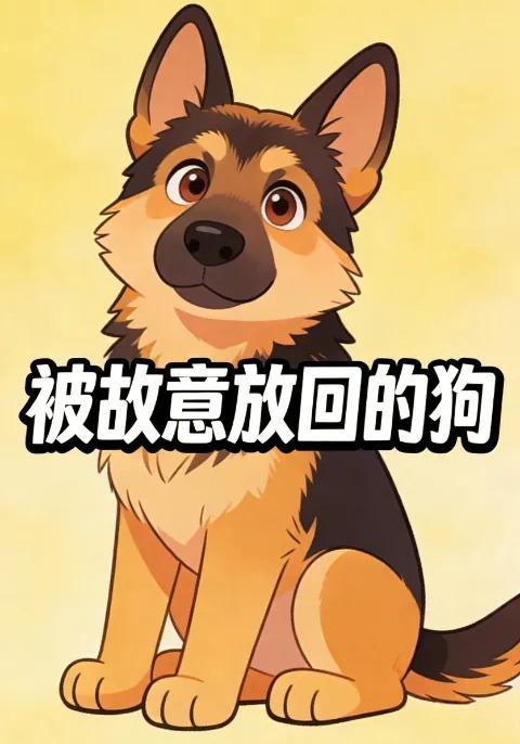 被故意放回的狗封面图