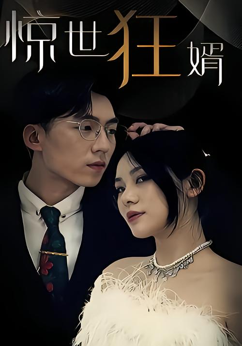 惊世狂婿