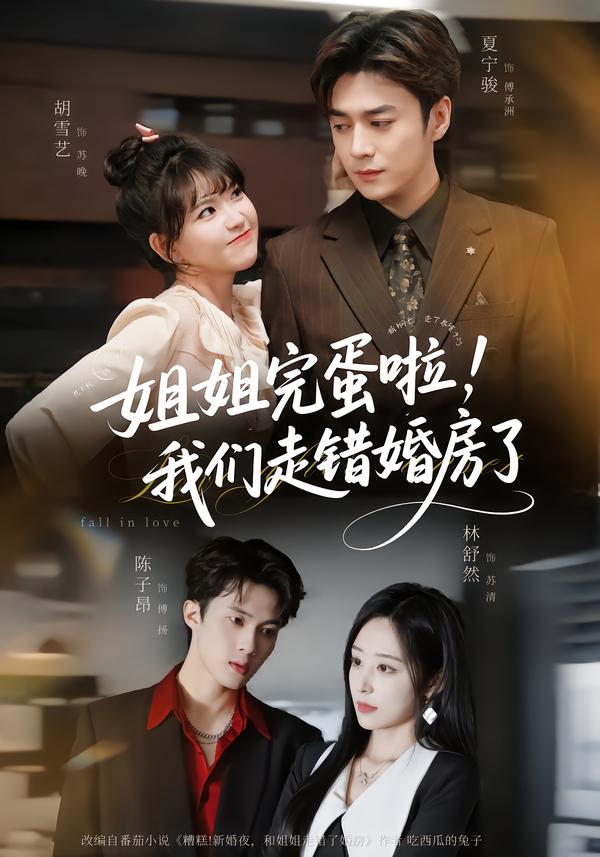 姐姐完蛋啦，我们走错婚房了