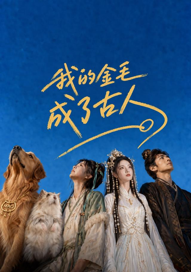 我的金毛成了古人封面