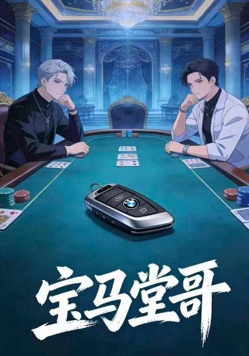 宝马堂哥封面图