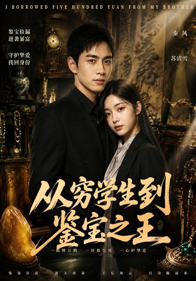 从穷学生到鉴宝之王 cover