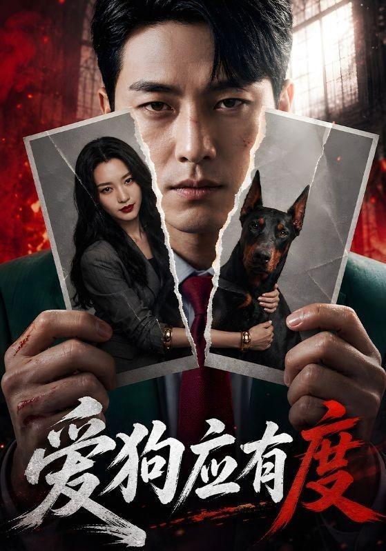 爱狗应有度
