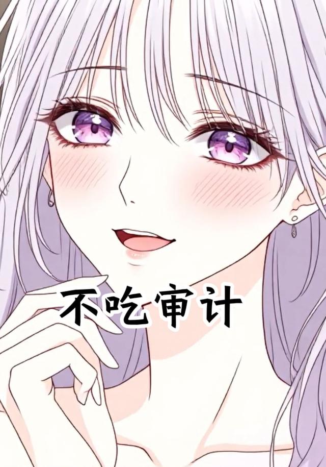 不吃审计封面图