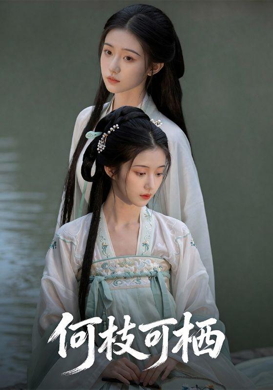 何枝可栖封面图