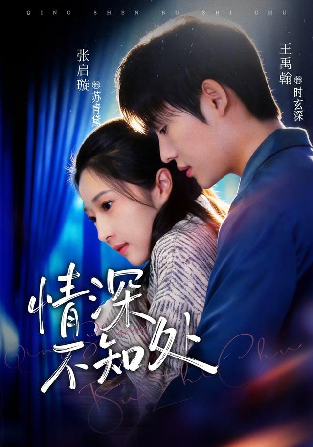 情深不知处封面图