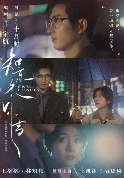 知京冬风雪封面图