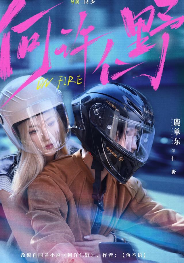 短剧何许仁野海报